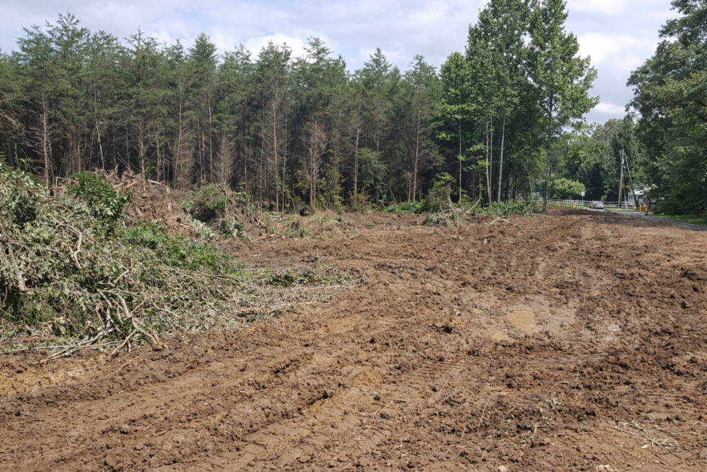 land clearing by PAW Demolition
