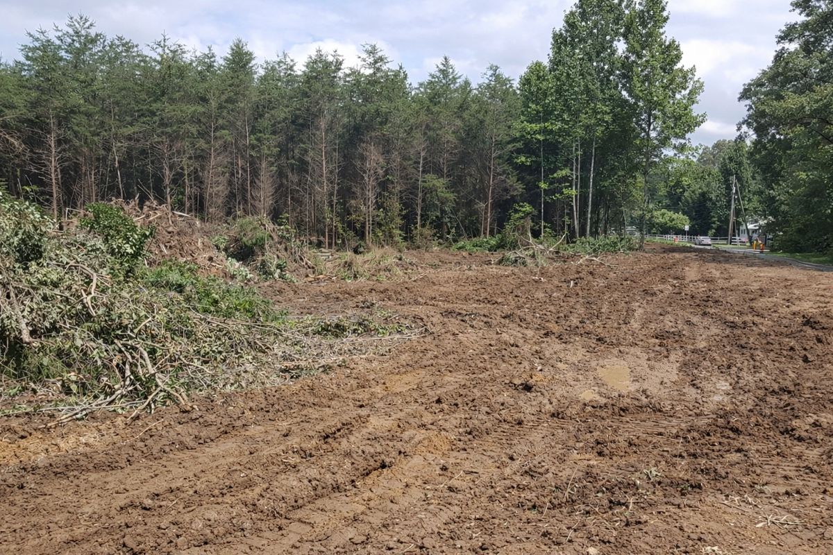 land clearing by PAW Demolition